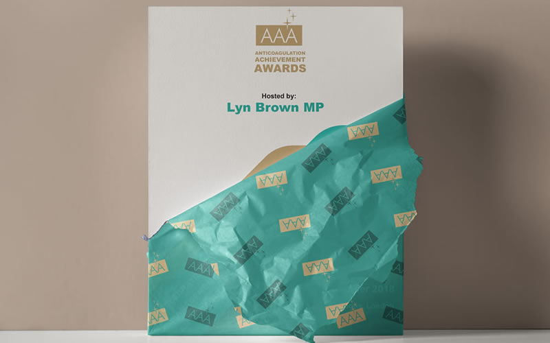 Anticoagulation Achievement Awards - Brochure in Houses of Parliament awards event ceremony Image 5