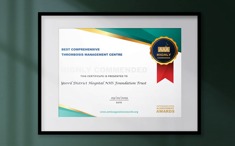 Anticoagulation Achievement Awards - Certificate for the Houses of Parliament awards event ceremony Image 6