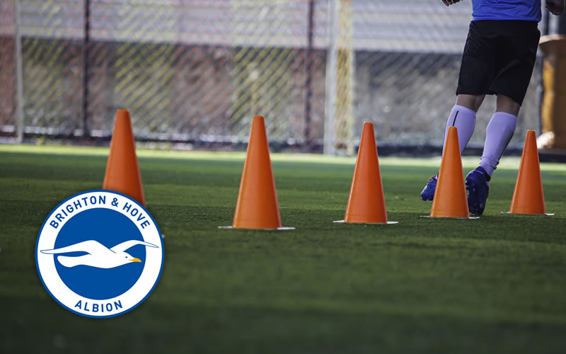 Digital online web based Player Wellness Solution for Brighton Hove Albion Football Club [BHAFC]